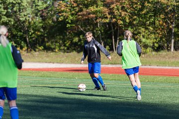 Bild 4 - Frauen SV Henstedt Ulzburg II - TSV Russee : Ergebnis: 6:0